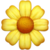 Blossom Emoji Copy Paste ― 🌼 - apple