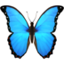 Butterfly Emoji Copy Paste ― 🦋 - apple