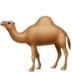 Camel Emoji Copy Paste ― 🐪 - apple