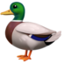 Duck Emoji Copy Paste ― 🦆 - apple