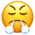 Face With Steam From Nose Emoji Copy Paste ― 😤 - apple