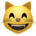 Grinning Cat With Smiling Eyes Emoji Copy Paste ― 😸 - apple