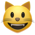 Grinning Cat Emoji Copy Paste ― 😺 - apple