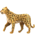 Leopard Emoji Copy Paste ― 🐆 - apple