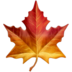 Maple Leaf Emoji Copy Paste ― 🍁 - apple