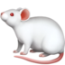 Mouse Emoji Copy Paste ― 🐁 - apple