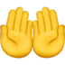 Palms Up Together Emoji Copy Paste ― 🤲 - apple