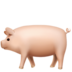 Pig Emoji Copy Paste ― 🐖 - apple