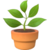 Potted Plant Emoji Copy Paste ― 🪴 - apple