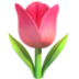 Tulip Emoji Copy Paste ― 🌷 - apple