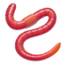 Worm Emoji Copy Paste ― 🪱 - apple