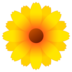 Blossom Emoji Copy Paste ― 🌼 - emojidex