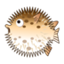 Blowfish Emoji Copy Paste ― 🐡 - emojidex