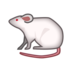 Mouse Emoji Copy Paste ― 🐁 - emojidex