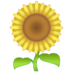 Sunflower Emoji Copy Paste ― 🌻 - emojidex