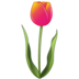 Tulip Emoji Copy Paste ― 🌷 - emojidex