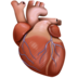 Anatomical Heart Emoji Copy Paste ― 🫀 - facebook