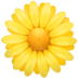 Blossom Emoji Copy Paste ― 🌼 - facebook