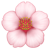 Cherry Blossom Emoji Copy Paste ― 🌸 - facebook