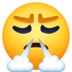 Face With Steam From Nose Emoji Copy Paste ― 😤 - facebook