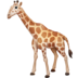 Giraffe Emoji Copy Paste ― 🦒 - facebook