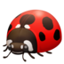 Lady Beetle Emoji Copy Paste ― 🐞 - facebook