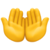 Palms Up Together Emoji Copy Paste ― 🤲 - facebook