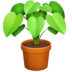 Potted Plant Emoji Copy Paste ― 🪴 - facebook