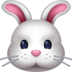 Rabbit Face Emoji Copy Paste ― 🐰 - facebook