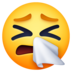 Sneezing Face Emoji Copy Paste ― 🤧 - facebook