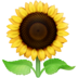 Sunflower Emoji Copy Paste ― 🌻 - facebook