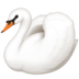 Swan Emoji Copy Paste ― 🦢 - facebook