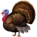 Turkey Emoji Copy Paste ― 🦃 - facebook