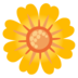 Blossom Emoji Copy Paste ― 🌼 - google-android