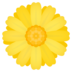 Blossom Emoji Copy Paste ― 🌼 - joypixels