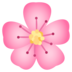Cherry Blossom Emoji Copy Paste ― 🌸 - joypixels