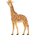 Giraffe Emoji Copy Paste ― 🦒 - joypixels