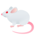 Mouse Emoji Copy Paste ― 🐁 - joypixels