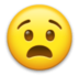 Anguished Face Emoji Copy Paste ― 😧 - lg