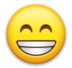 Beaming Face With Smiling Eyes Emoji Copy Paste ― 😁 - lg