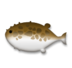Blowfish Emoji Copy Paste ― 🐡 - lg