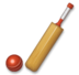 Cricket Game Emoji Copy Paste ― 🏏 - lg