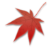 Maple Leaf Emoji Copy Paste ― 🍁 - lg