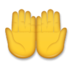 Palms Up Together Emoji Copy Paste ― 🤲 - lg