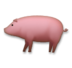 Pig Emoji Copy Paste ― 🐖 - lg