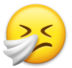 Sneezing Face Emoji Copy Paste ― 🤧 - lg
