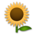 Sunflower Emoji Copy Paste ― 🌻 - lg
