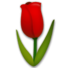 Tulip Emoji Copy Paste ― 🌷 - lg