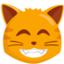 Grinning Cat With Smiling Eyes Emoji Copy Paste ― 😸 - messenger