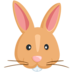 Rabbit Face Emoji Copy Paste ― 🐰 - messenger